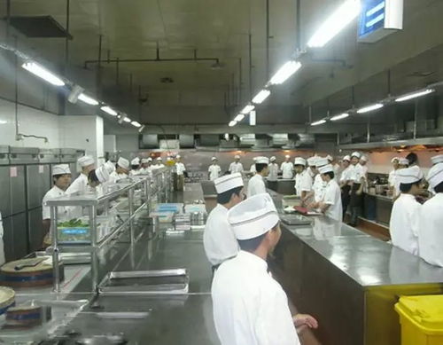 史上最強廚房管理制度 助您治理餐廳，減少后廚浪費的酒店管理秘籍